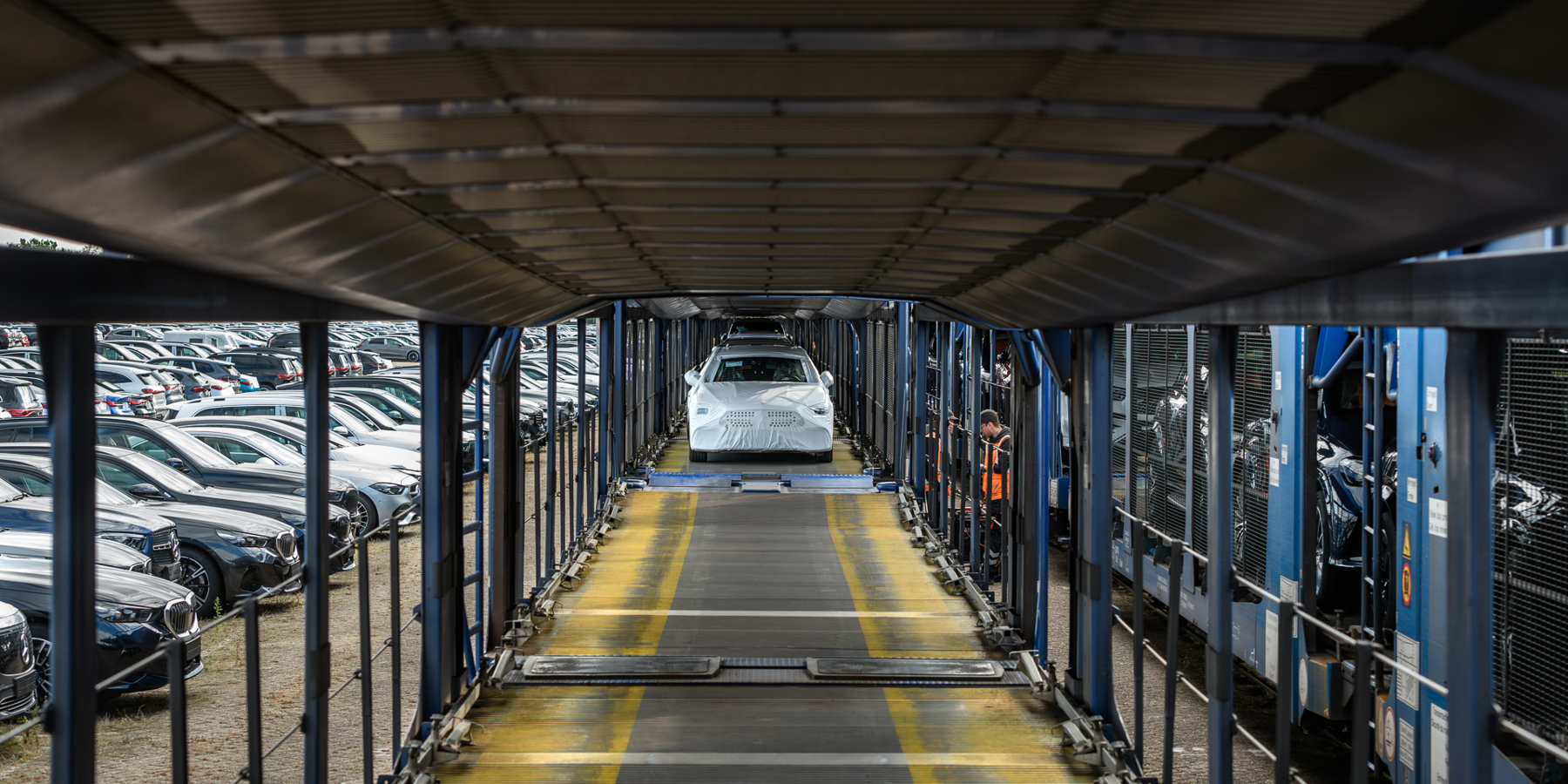 Backoffice Medewerker